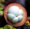 mangosteen_fruit100x97.jpg